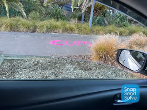 Graffiti, a report photo