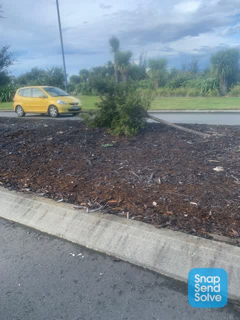 Roading/Streets, a report photo