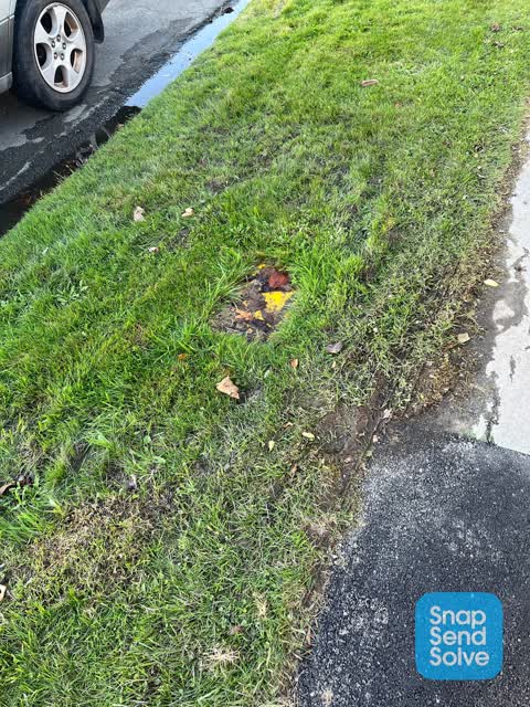 Water Leak, a report photo