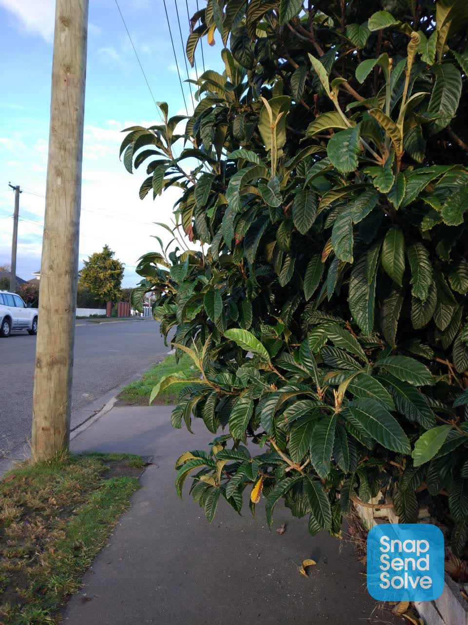 The photograph attached to this roading/streets report