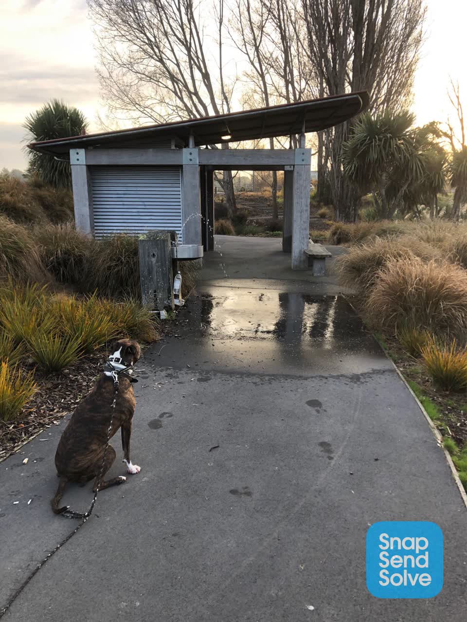 The photograph attached to this water leak report