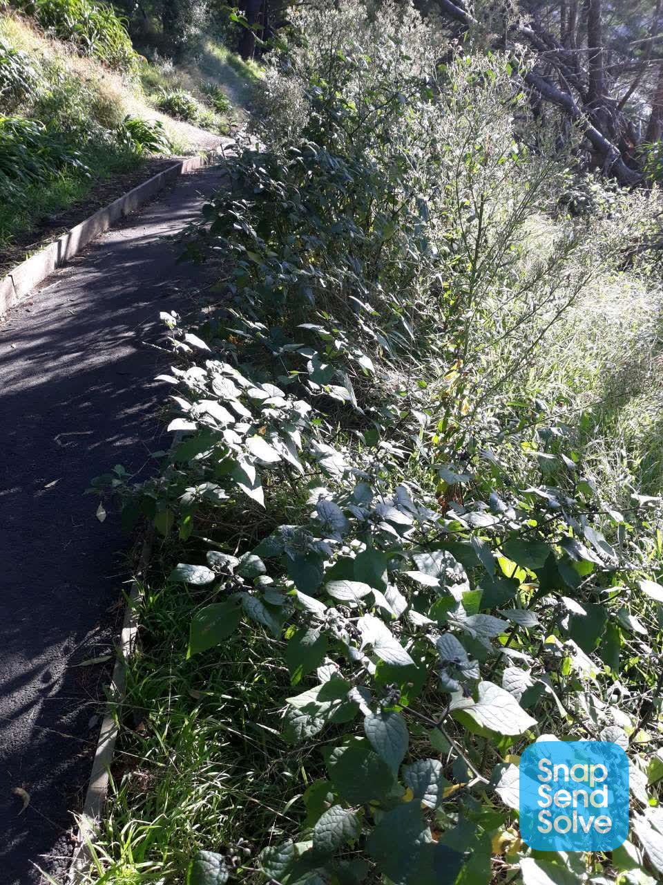 The photograph attached to this parks report