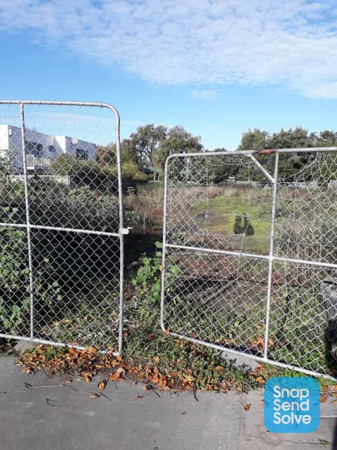 Roading/Streets — a report photo