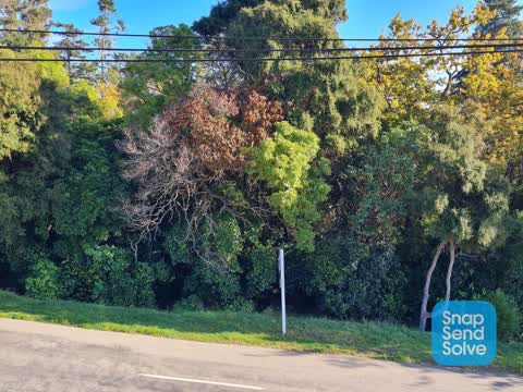 Parks, a report photo