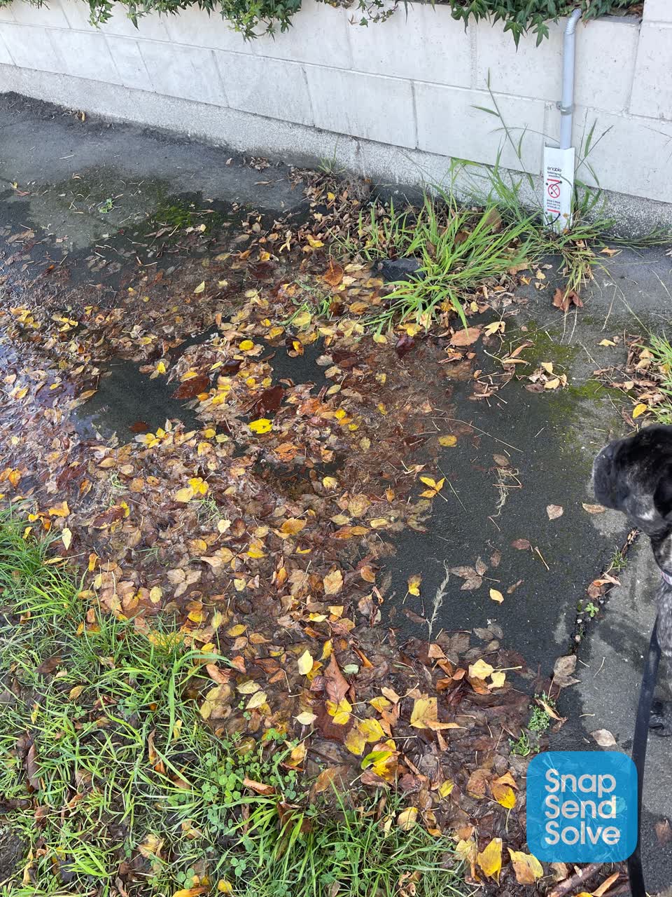 The photograph attached to this water leak report