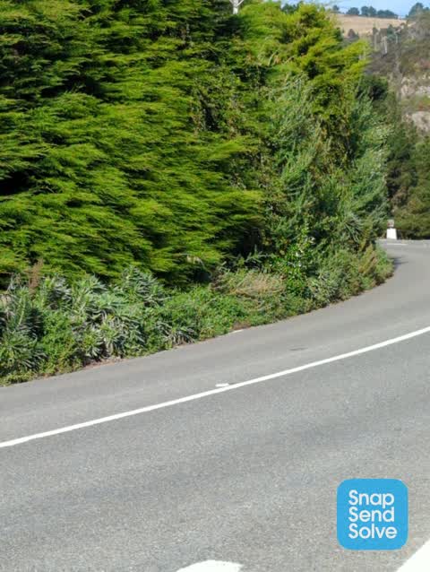 Roading/Streets, a report photo