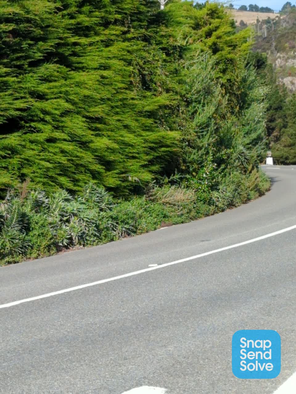 The photograph attached to this roading/streets report