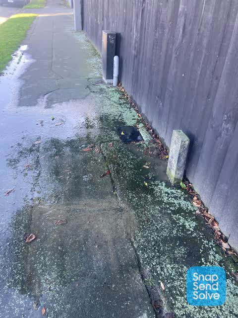 Water Leak, a report photo