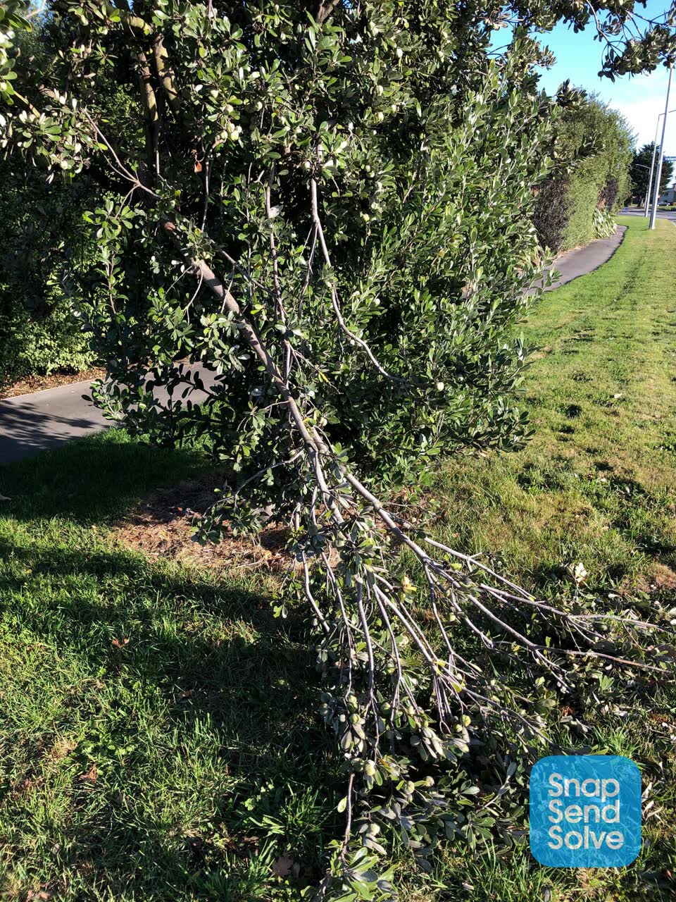 The photograph attached to this parks report