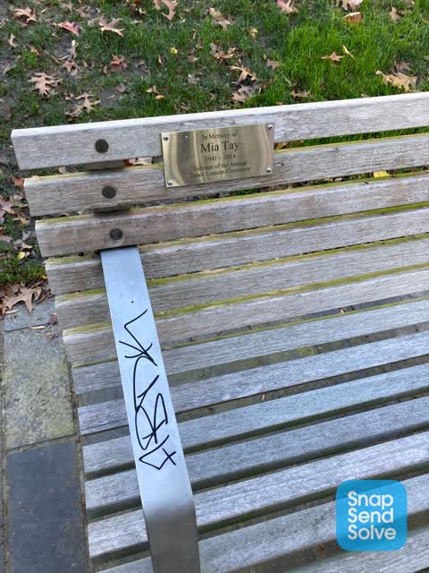 Graffiti, a report photo