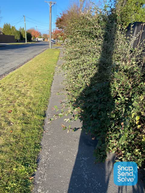 Roading/Streets, a report photo