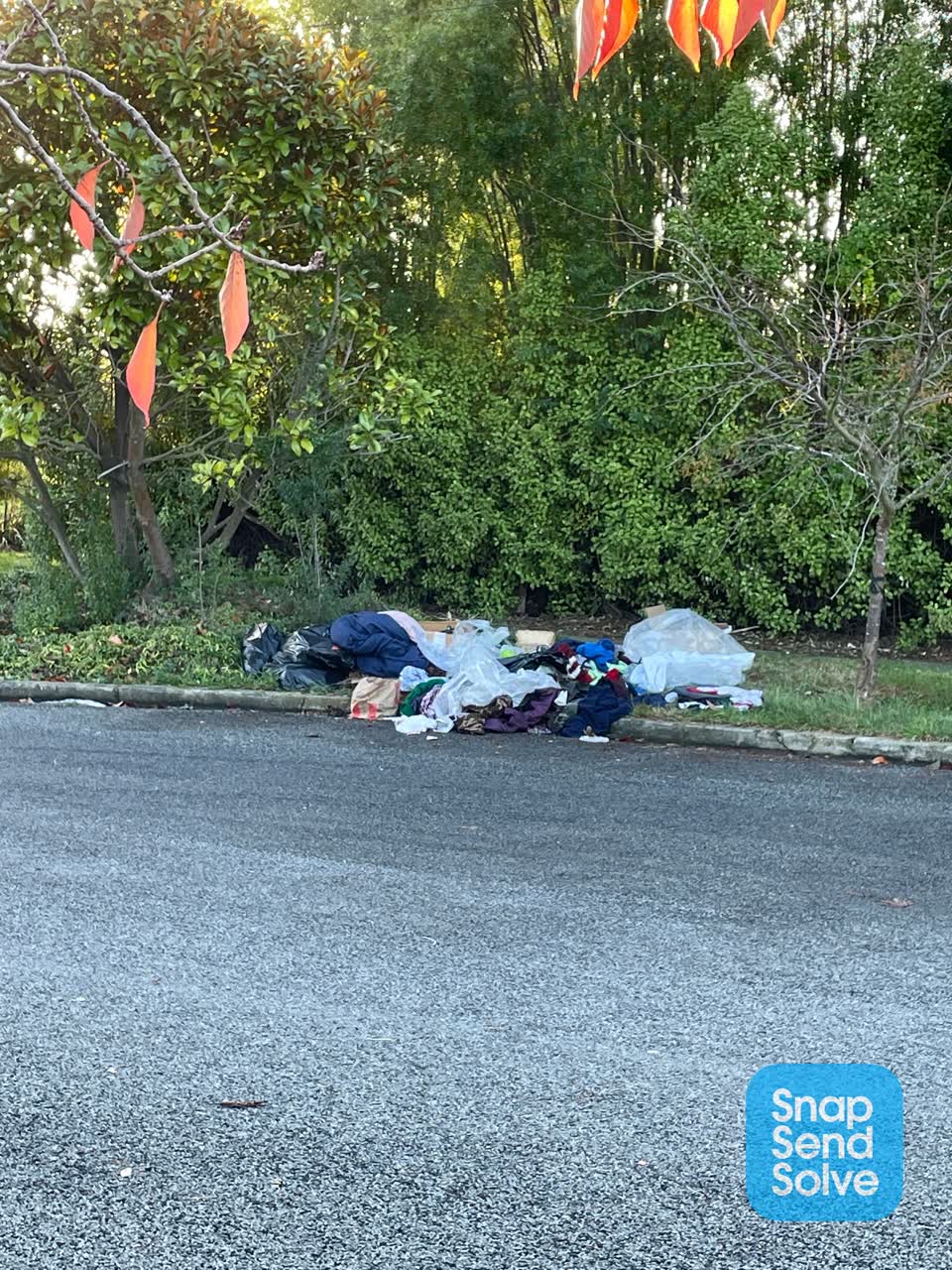 The photograph attached to this rubbish/recycling report
