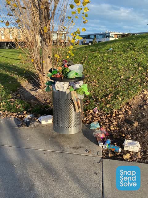 Parks — a report photo