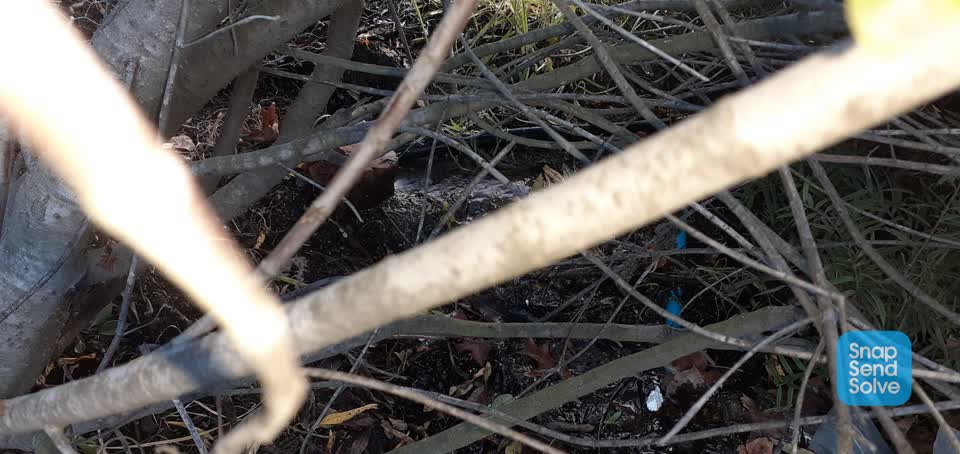 The photograph attached to this water leak report