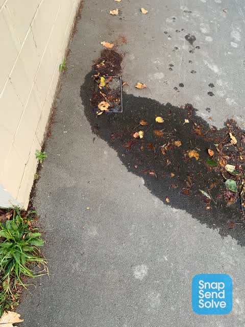 Water Leak, a report photo