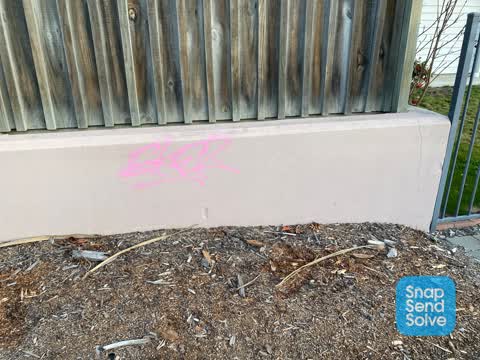 Graffiti, a report photo