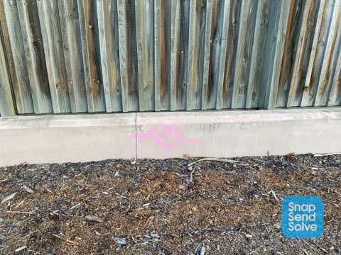 Graffiti, a report photo