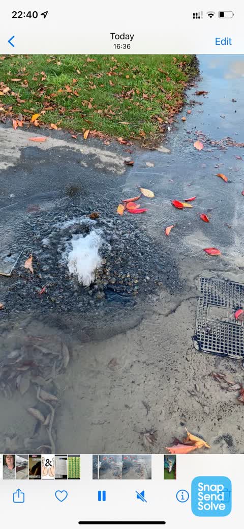 Water Leak, a report photo