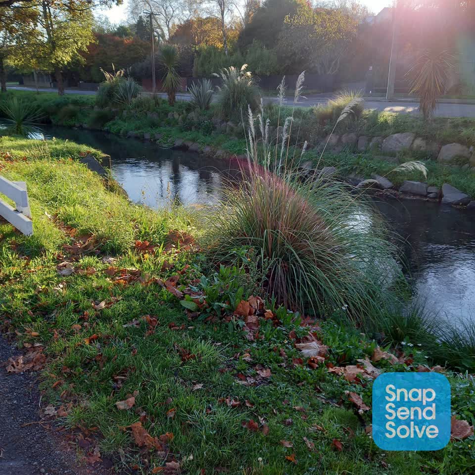 The photograph attached to this sewer odour report