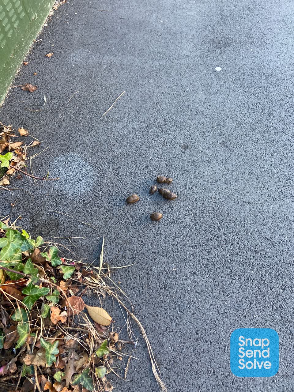 The photograph attached to this rubbish/recycling report