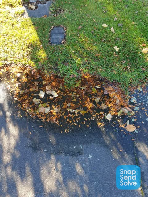 Water Leak, a report photo