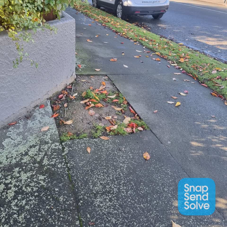 The photograph attached to this roading/streets report