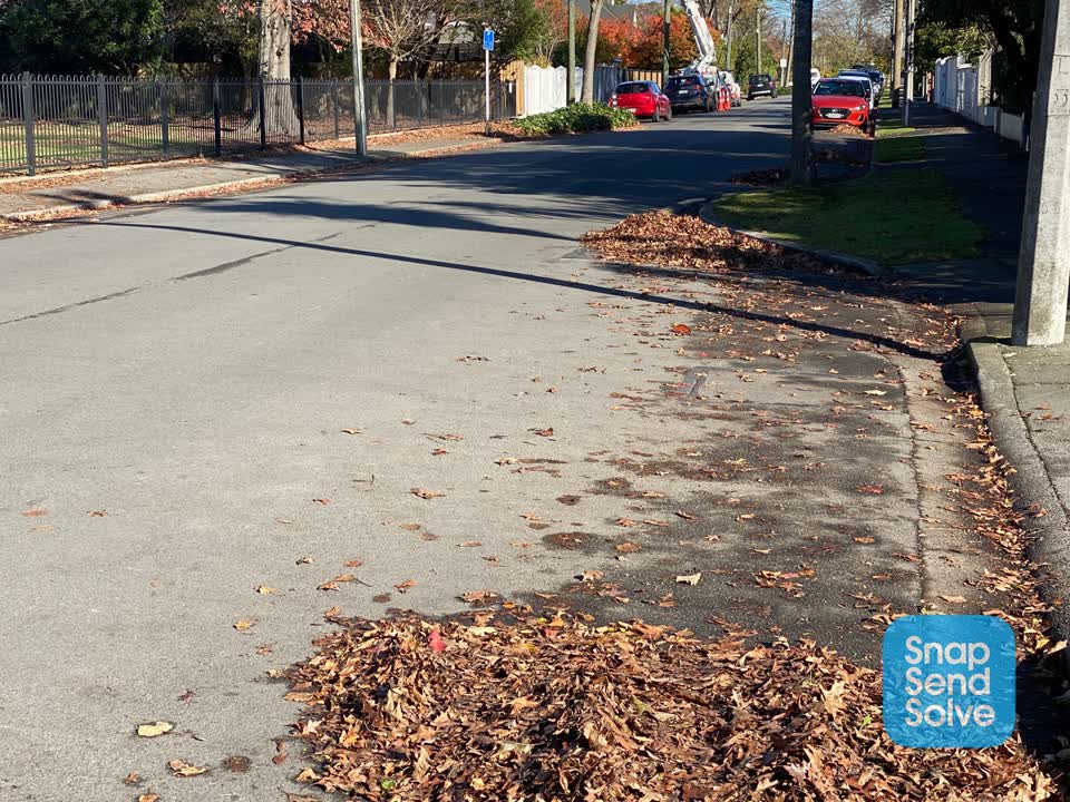 The photograph attached to this roading/streets report