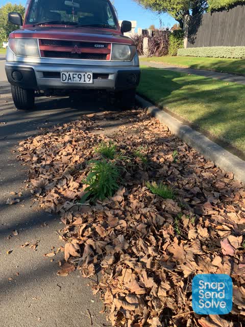 Roading/Streets, a report photo