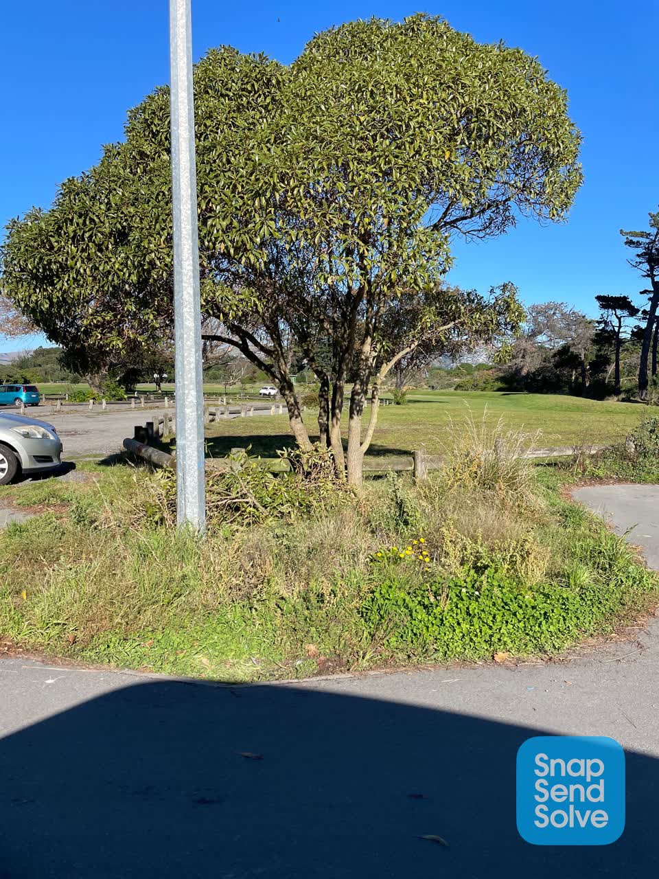 The photograph attached to this parks report
