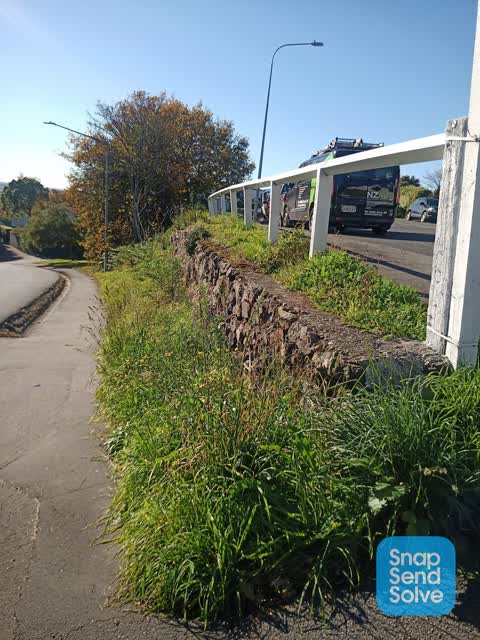 Parks, a report photo