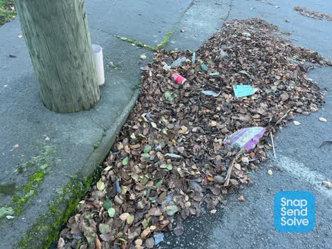 Roading/Streets, a report photo