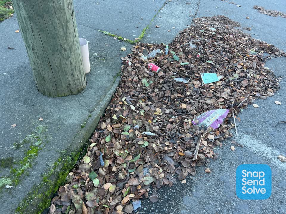 The photograph attached to this roading/streets report