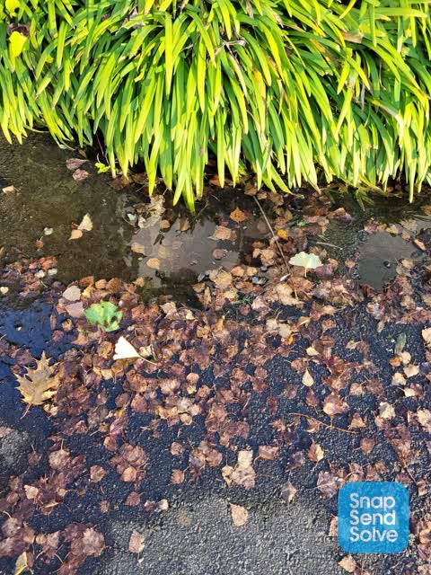 Water Leak, a report photo