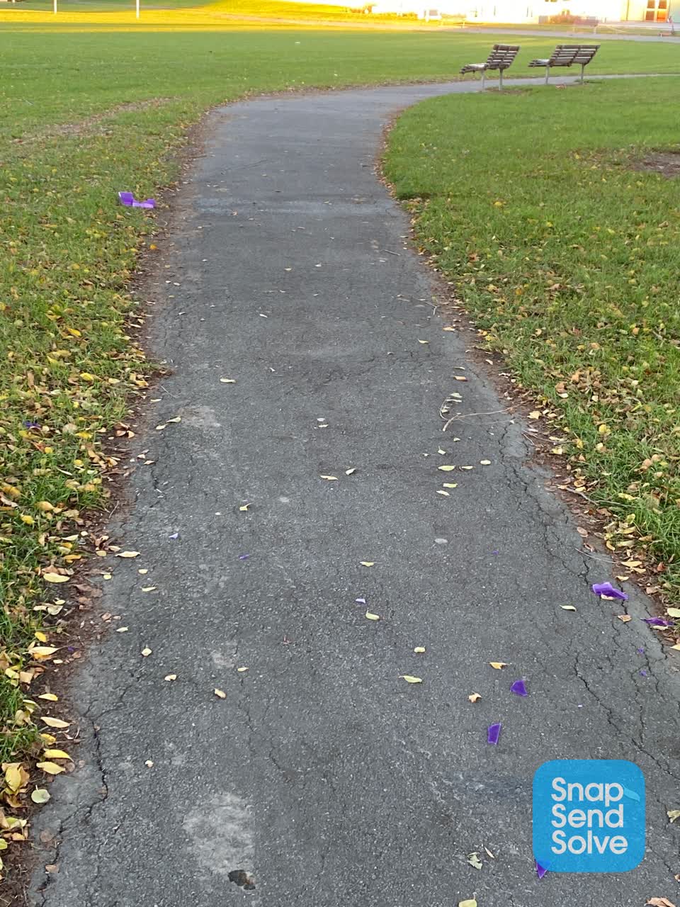 The photograph attached to this parks report