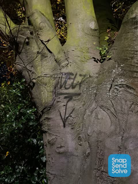 Graffiti — a report photo