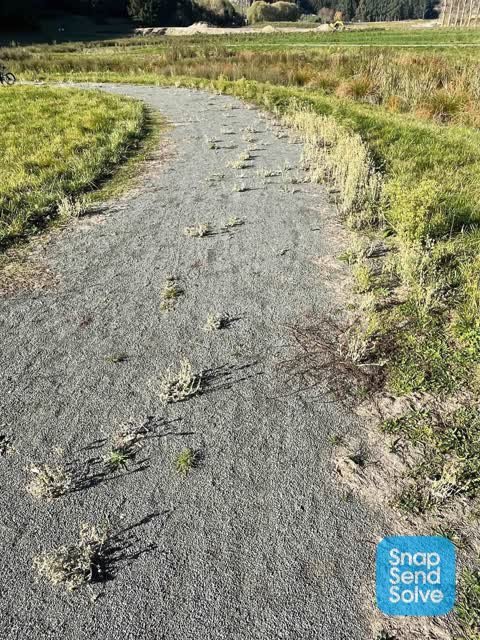 Parks, a report photo