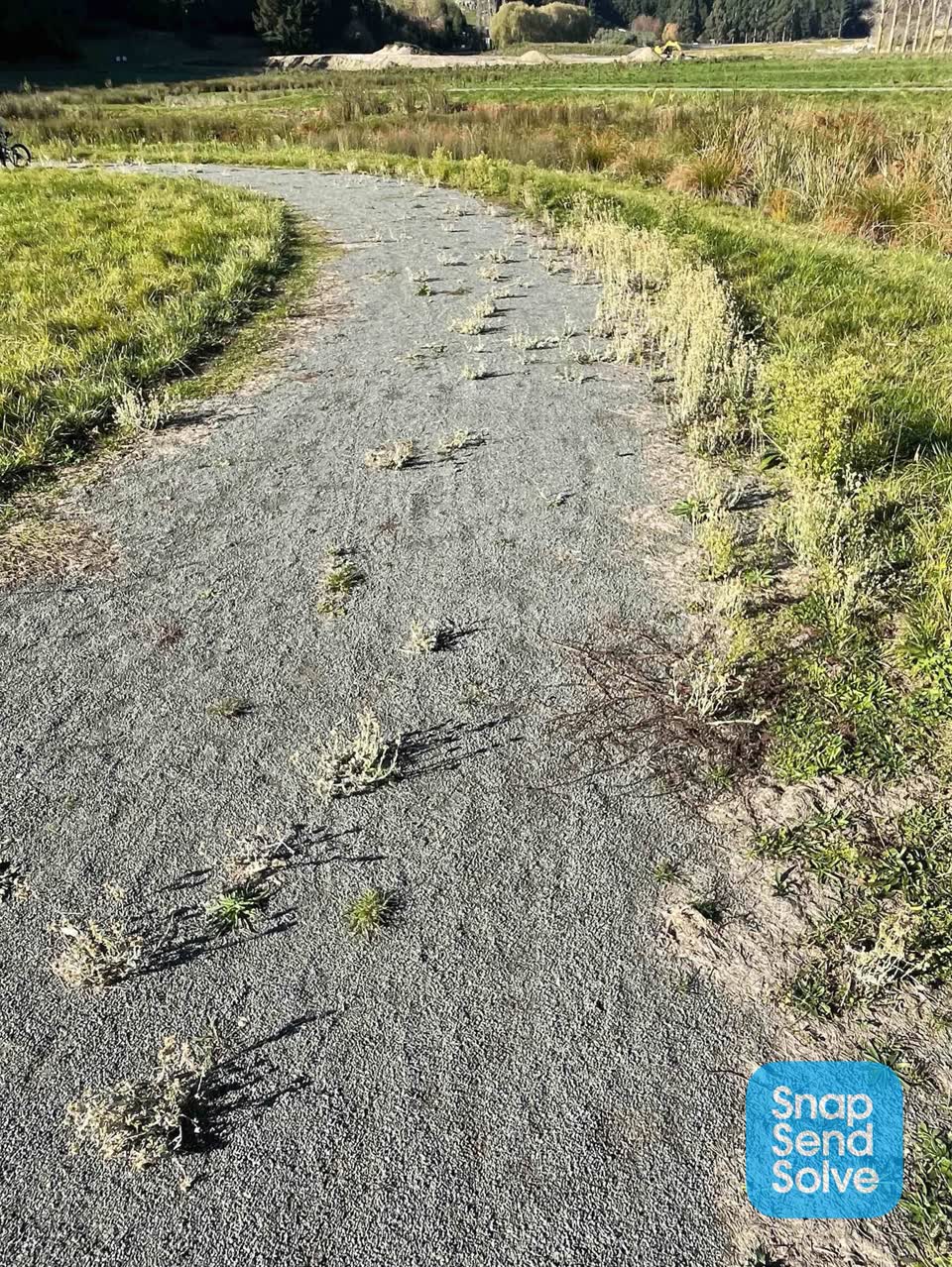The photograph attached to this parks report