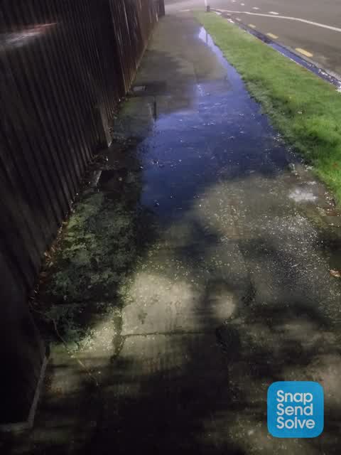 Water Leak, a report photo