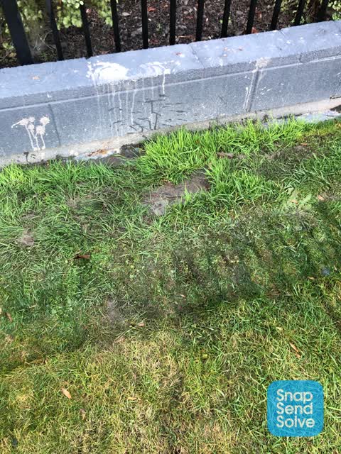 Water Leak, a report photo