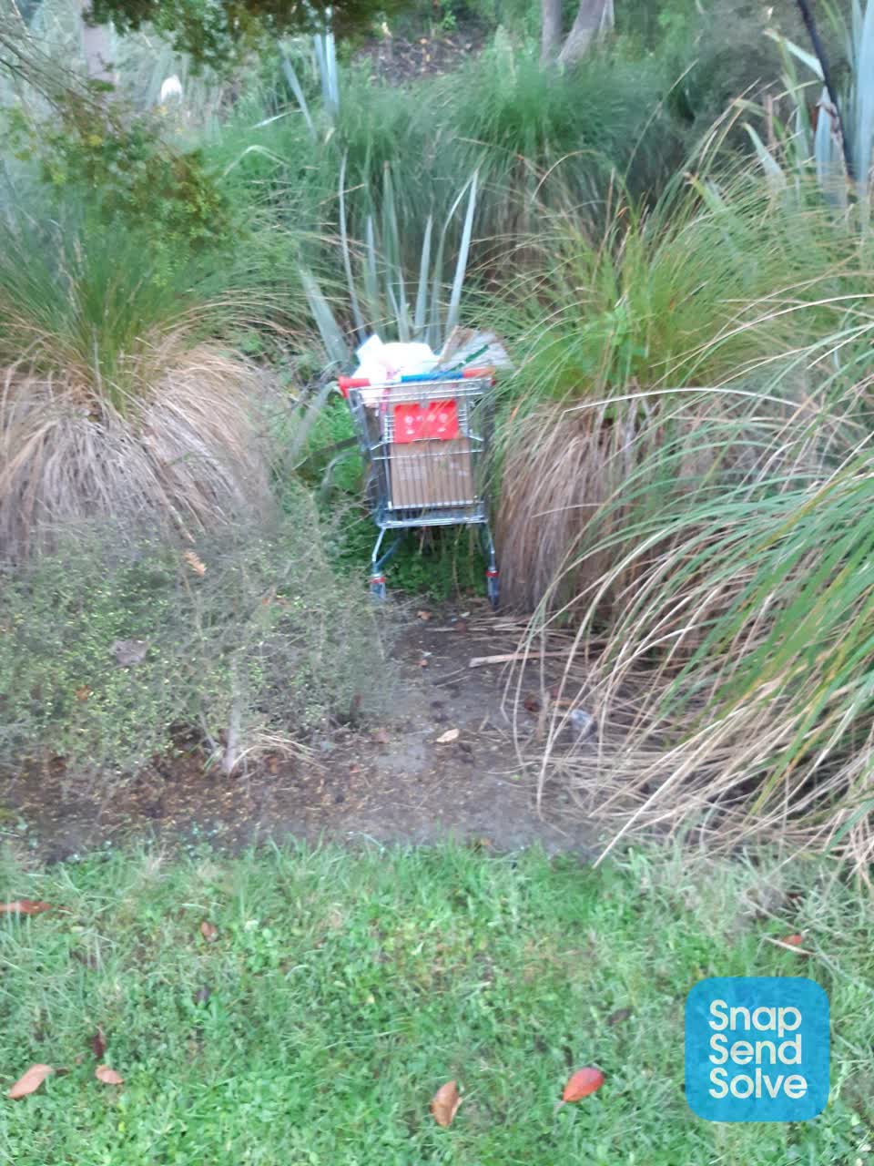 The photograph attached to this parks report