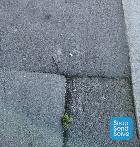 Rubbish/Recycling, a report photo