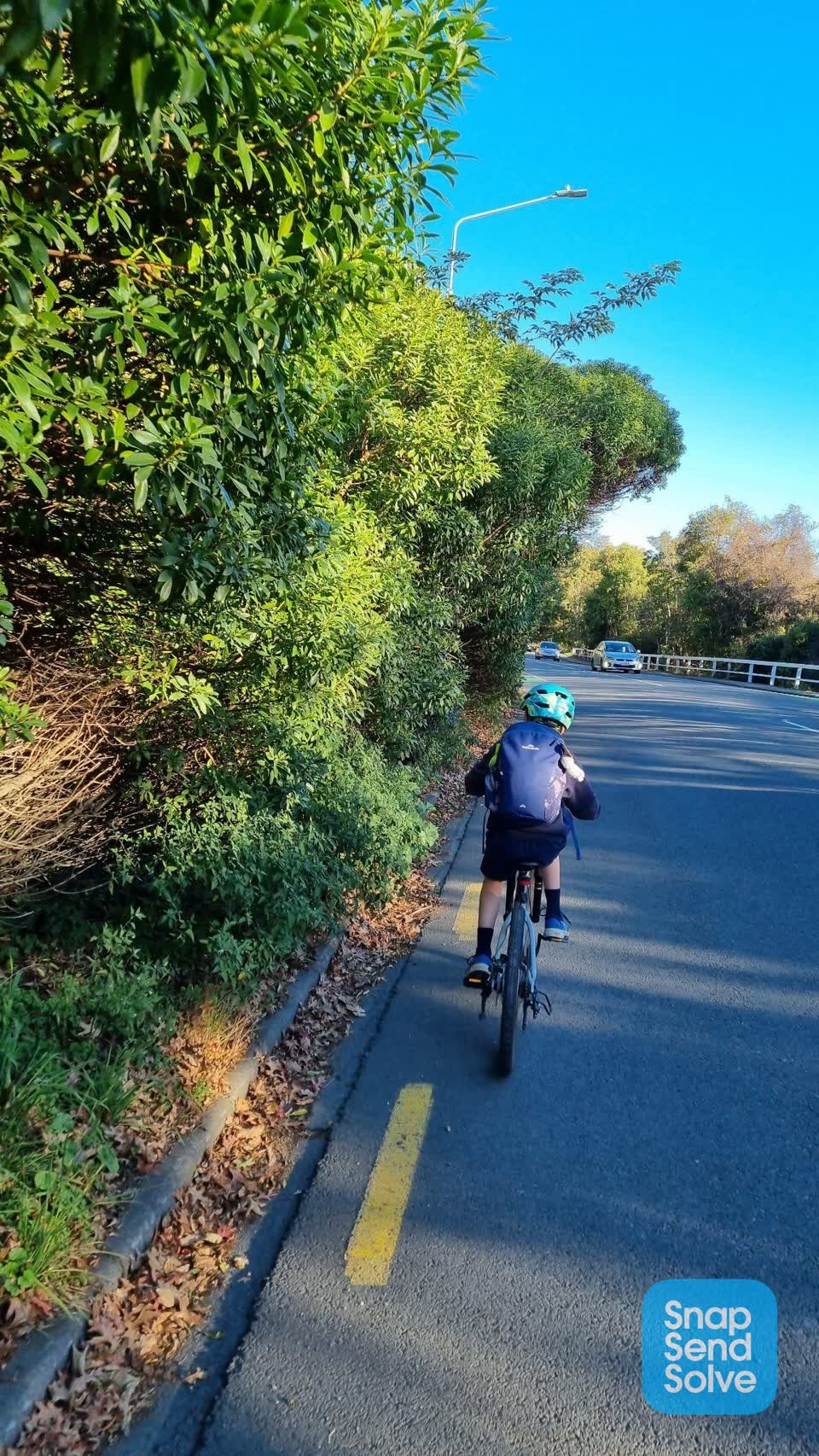 The photograph attached to this roading/streets report