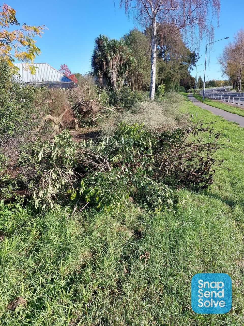 The photograph attached to this rubbish/recycling report