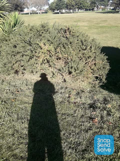 Parks, a report photo