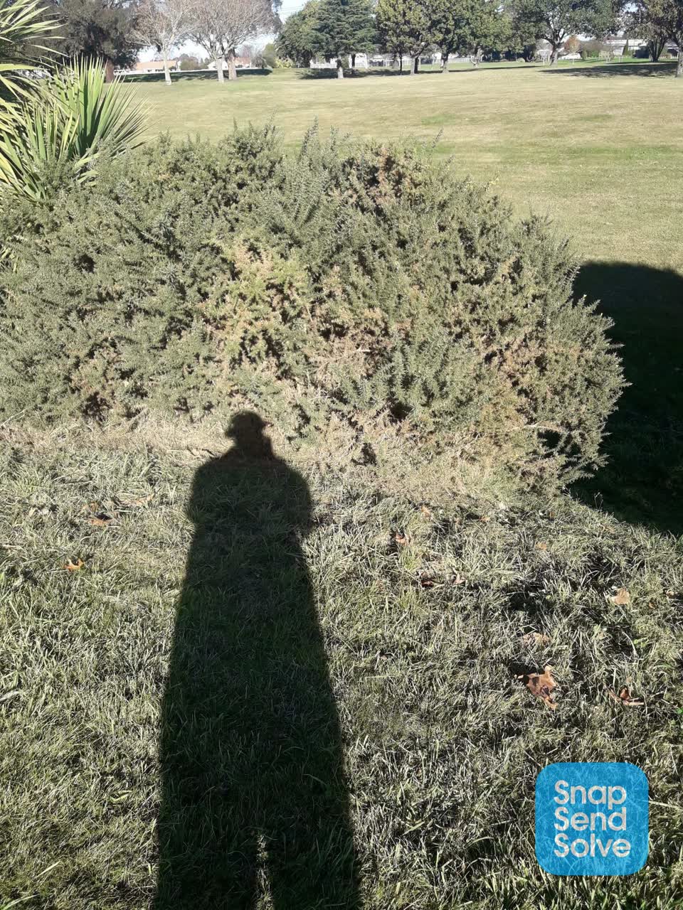 The photograph attached to this parks report