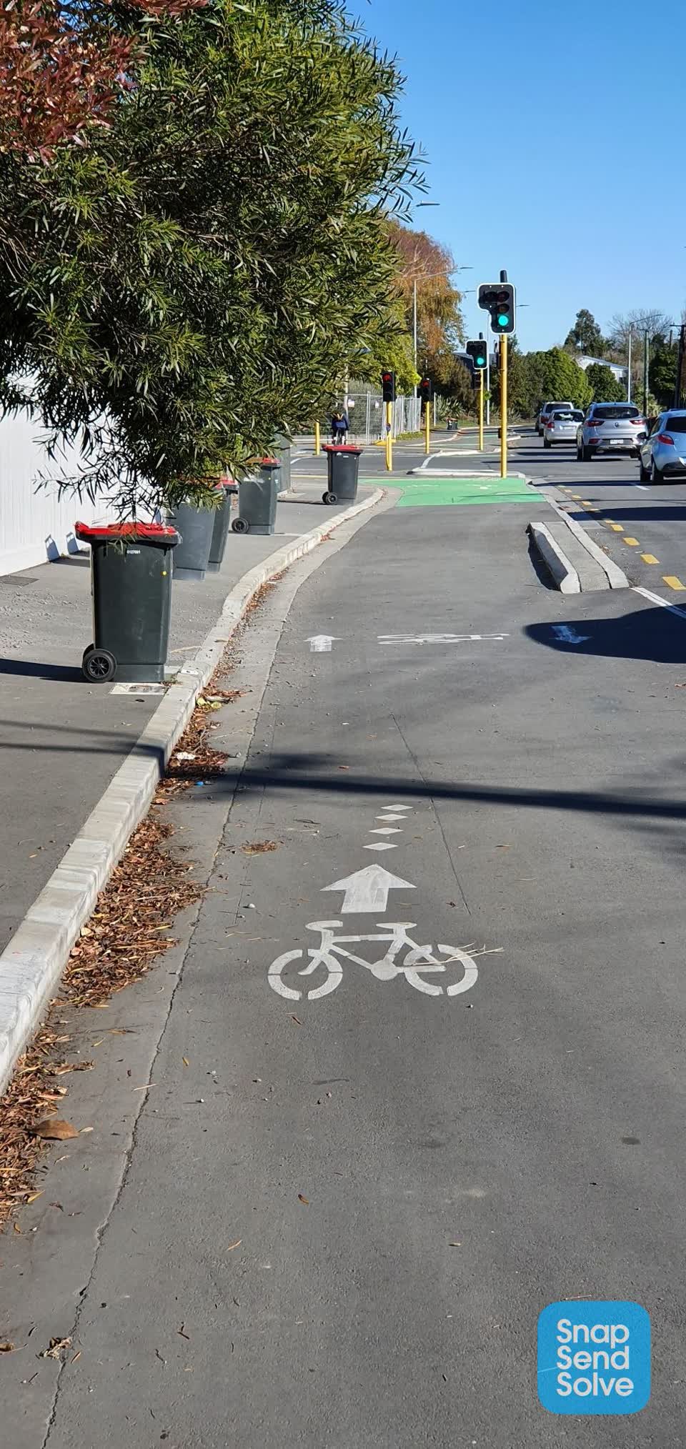 The photograph attached to this roading/streets report
