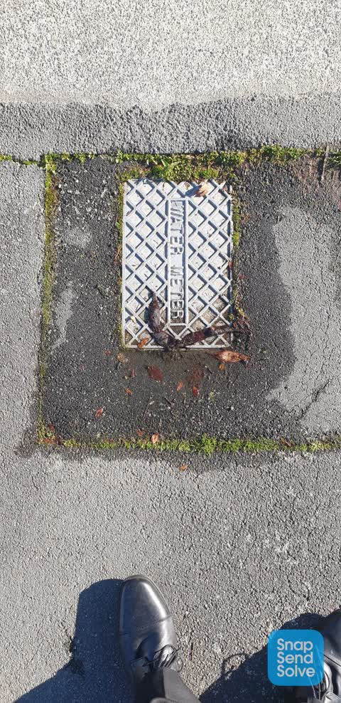Water Leak, a report photo