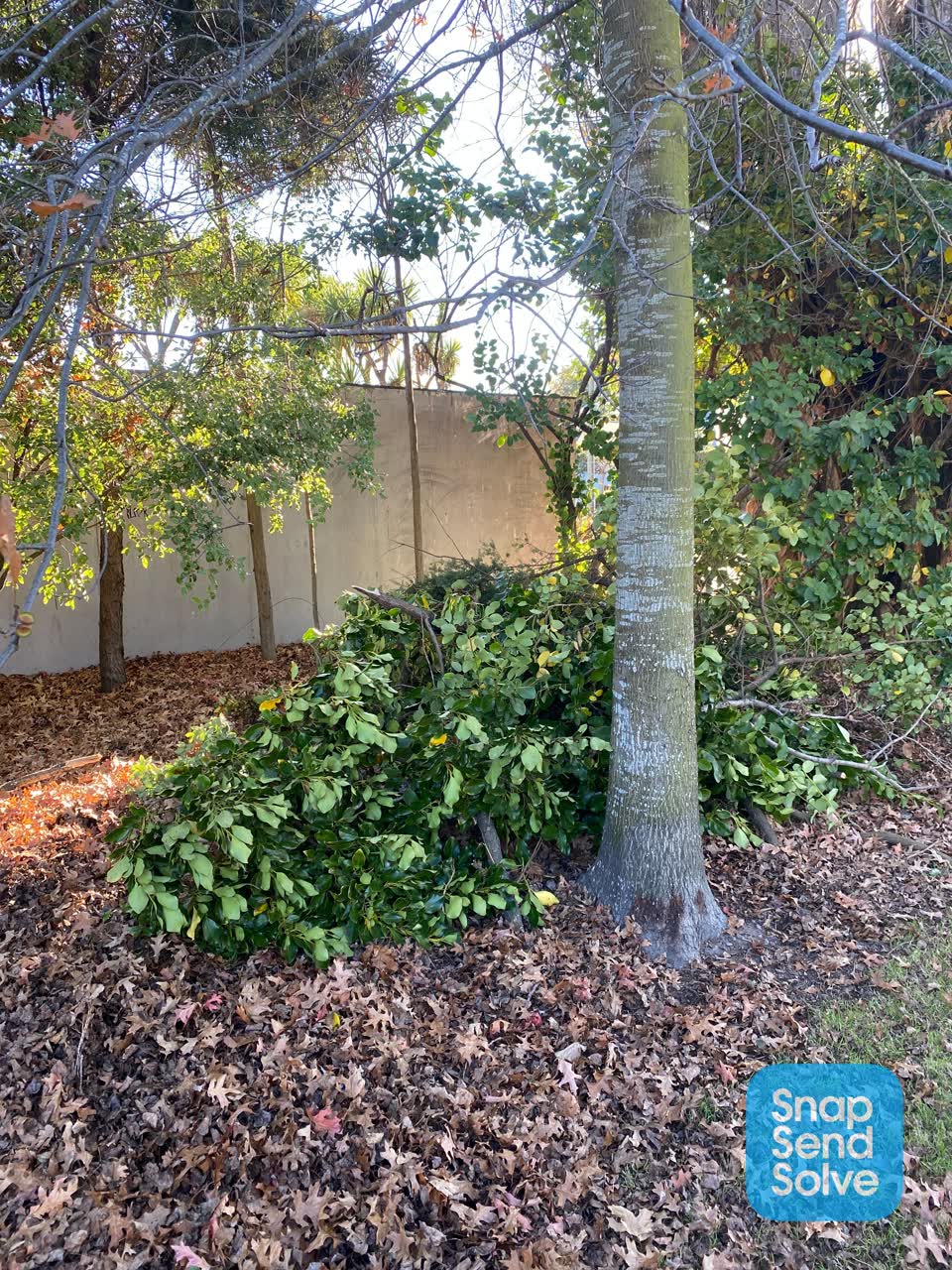 The photograph attached to this parks report