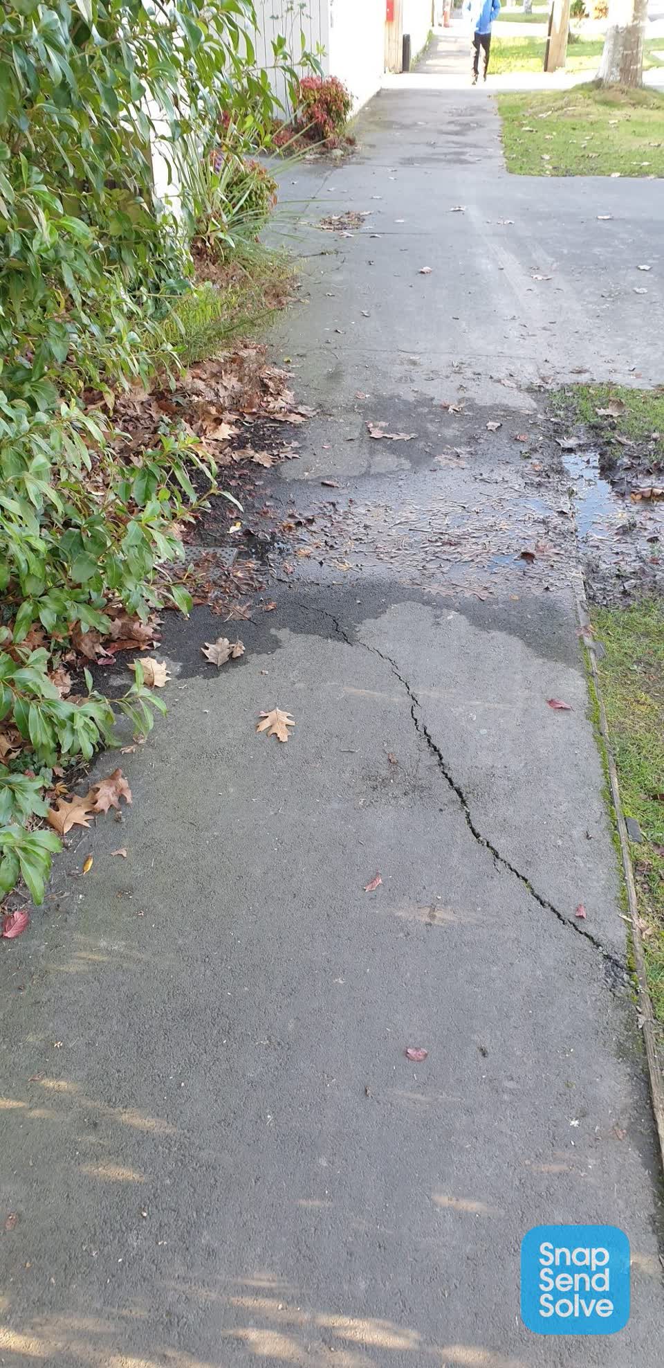 The photograph attached to this water leak report