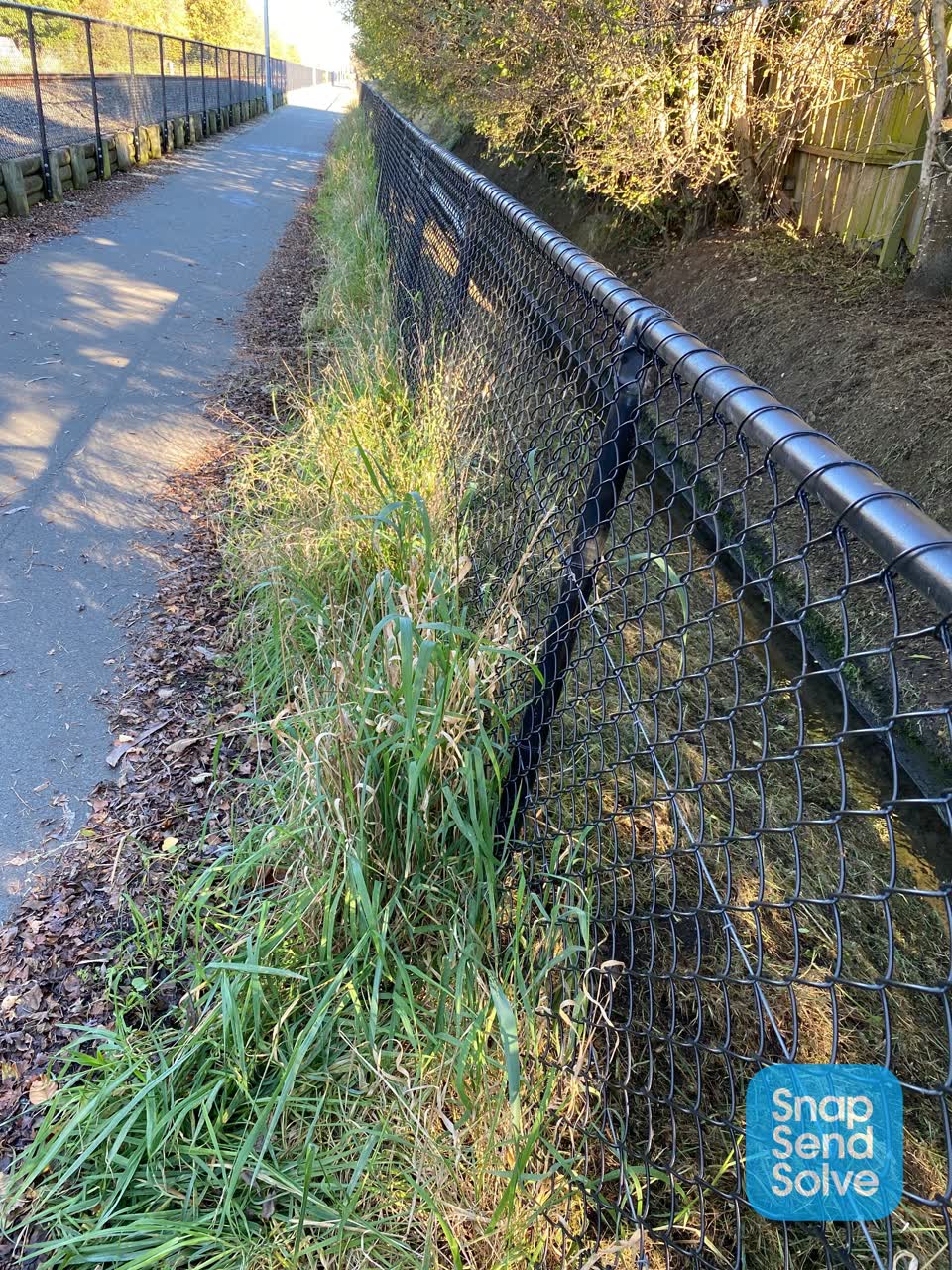 The photograph attached to this parks report